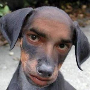 Meet your Posher, Chloe